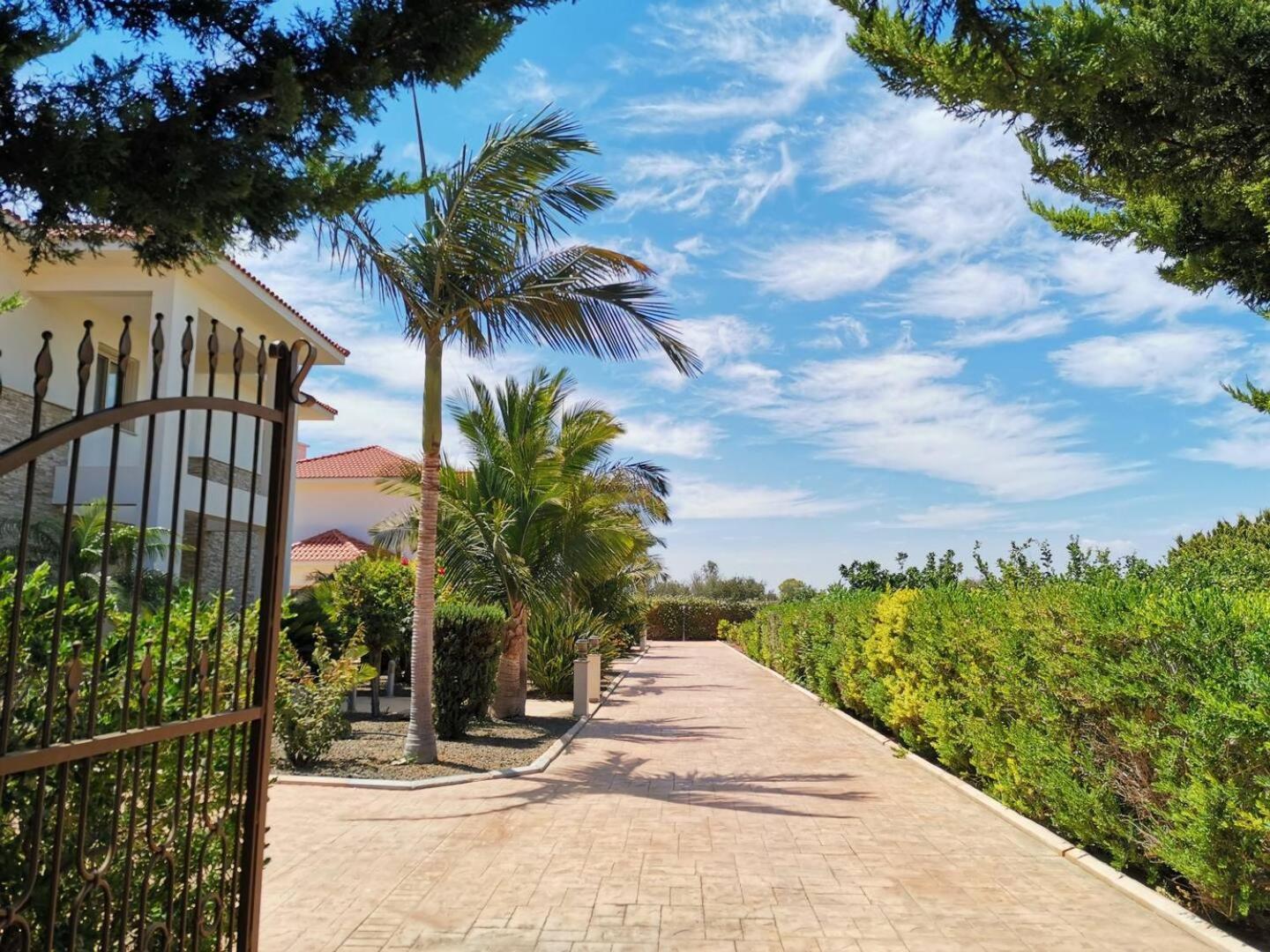 Orchard Blossom Private Villa With Pool Phrenaros Extérieur photo