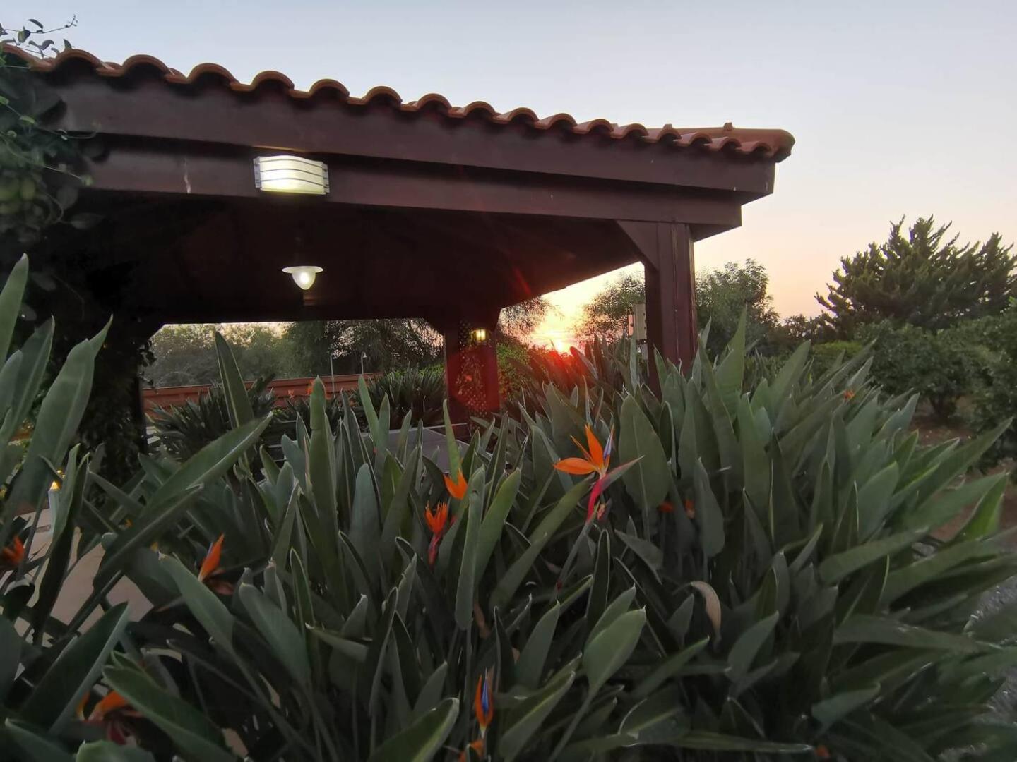 Orchard Blossom Private Villa With Pool Phrenaros Extérieur photo