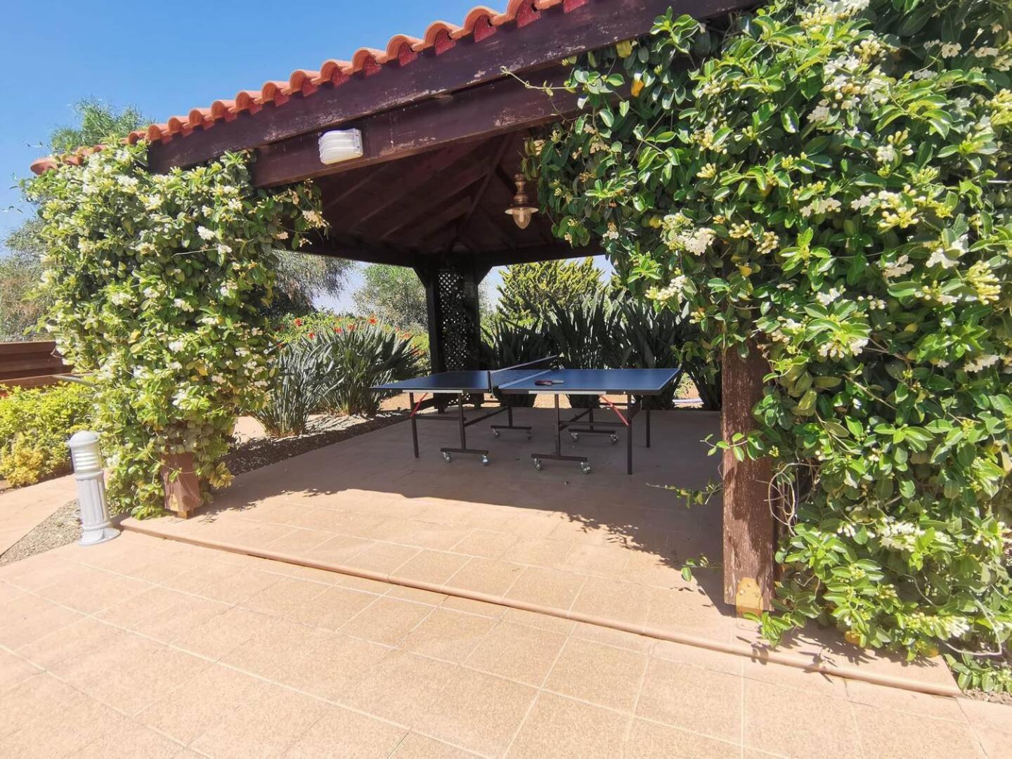 Orchard Blossom Private Villa With Pool Phrenaros Extérieur photo